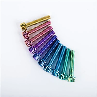 Flange Interna Plum Blossom M6 X 30