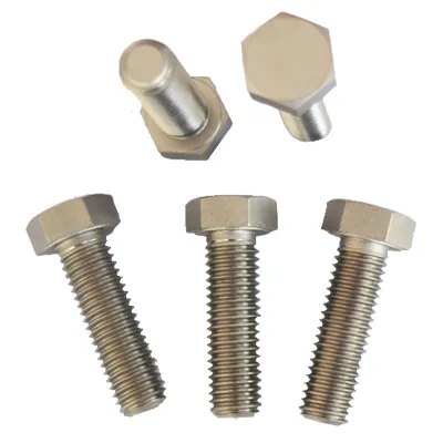 Parafusos de liga de titânio GR1